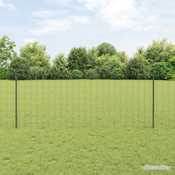Cl�ture Euro avec poteau 10 x 1 m Acier recouvert de PVC Gris