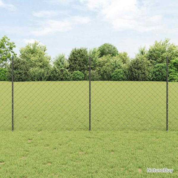 Cl�ture grillag�e avec poteau 10 x 1,2 m Acier recouvert de PVC