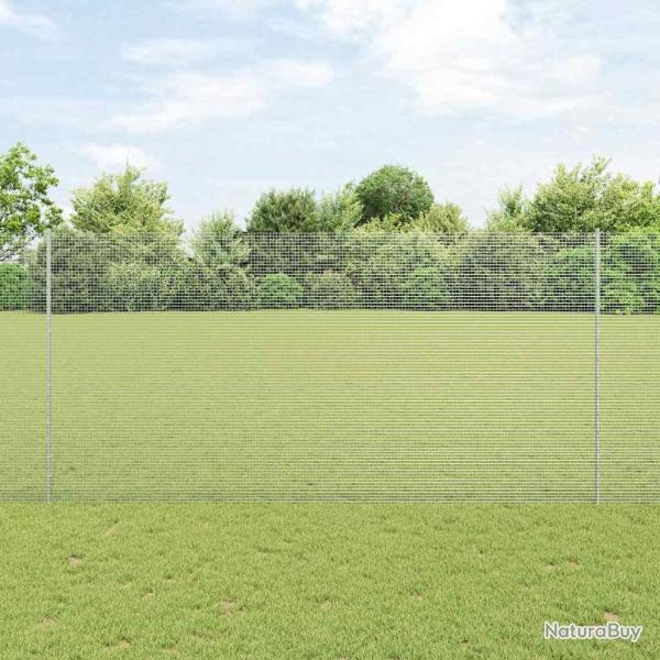 Cl�ture en fil soud� avec poteaux 50 x 1,6 m Acier galvanis�