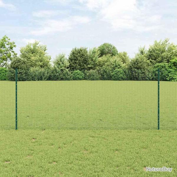 Cl�ture en fil soud� avec poteaux 50 x 1 m Vert Maille