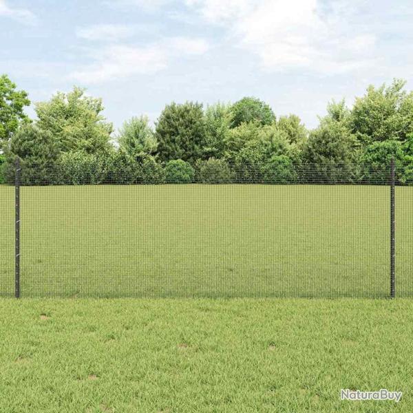 Cl�ture en fil soud� avec poteaux 50 x 0,8 m Gris Maille