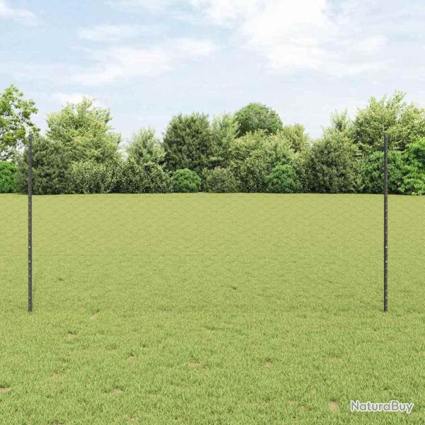 Cl�ture hexagonale avec poteau 25 x 1,2 m Gris Maille