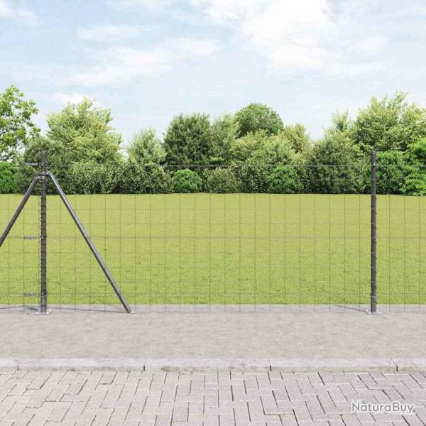 Cl�ture Euro avec Base en B�ton 10 x 0,8 m Gris Maille