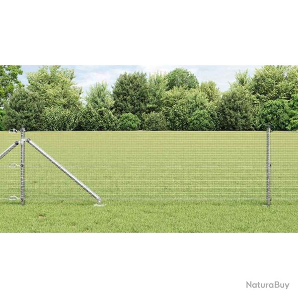Cl�ture en fil soud� avec pointes 100 x 0,6 m Acier galvanis�