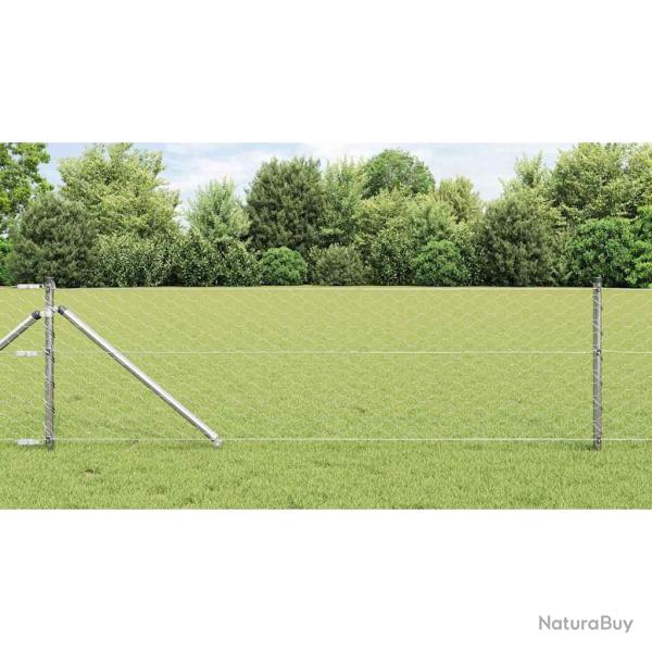 Cl�ture hexagonale avec poteau, acier galvanis�, pour le jardin, 25 � 0,6 m