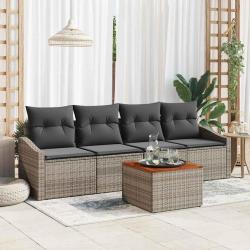 Ensemble de canap&eacute; de avec stockage 5 pcs Gris polyrotin