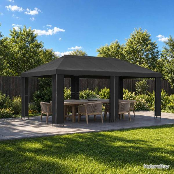 Abri de 6 x 3 m Anthracite Polyester et Acier 190