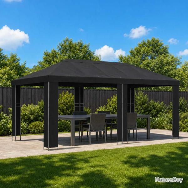 Abri de 6 x 3 m Noir Polyester et Acier 190