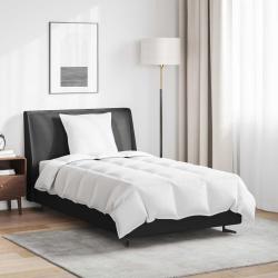 Duvet d'&eacute;t&eacute; simple avec oreiller 2 pcs Blanc Plume de canard