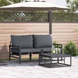 Ensemble de canap&eacute; de avec coussin 3 pcs Noir Acier
