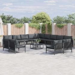 Ensemble de canap&eacute; de avec coussin 13 pcs Noir Acier