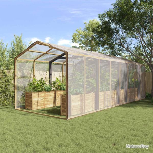 Couverture pour plantes Transparent 6 x 6 m PE