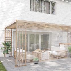 Couverture pour plantes Transparent 6 x 12 m PVC