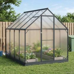 Serre de avec porte Anthracite 183,5 x 243,5 x 207 cm