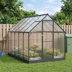 Serre de avec porte Anthracite 183,5 x 303,5 x 207 cm