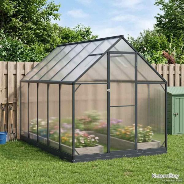 Serre de avec porte Anthracite 183,5 x 303,5 x 207 cm