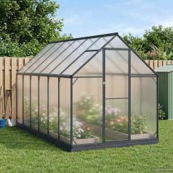 Serre de avec porte Anthracite 183,5 x 363,5 x 207 cm