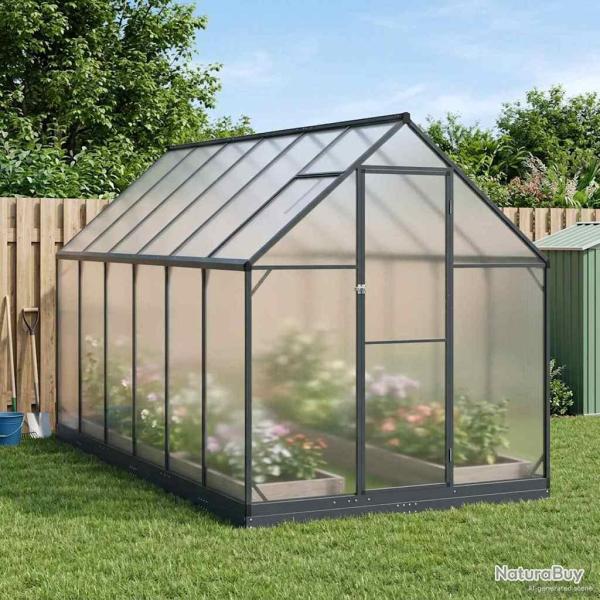 Serre de avec porte Anthracite 183,5 x 363,5 x 207 cm