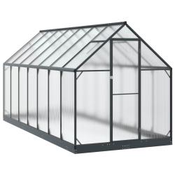 Serre de avec porte Anthracite 183,5 x 423,5 x 207 cm