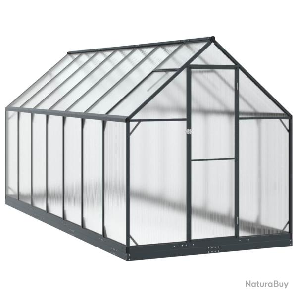 Serre de avec porte Anthracite 183,5 x 423,5 x 207 cm