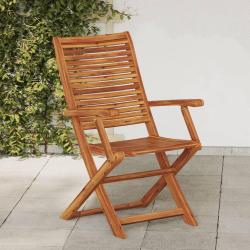 Chaises pliantes de avec accoudoir lot de 2