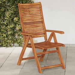 Chaises de pliantes inclinables lot de 2