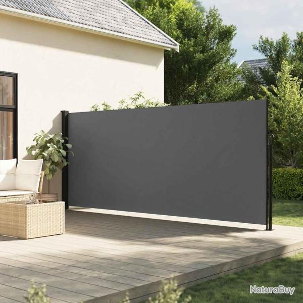 Auvent lat�ral r�tractable anthracite 180x500 cm