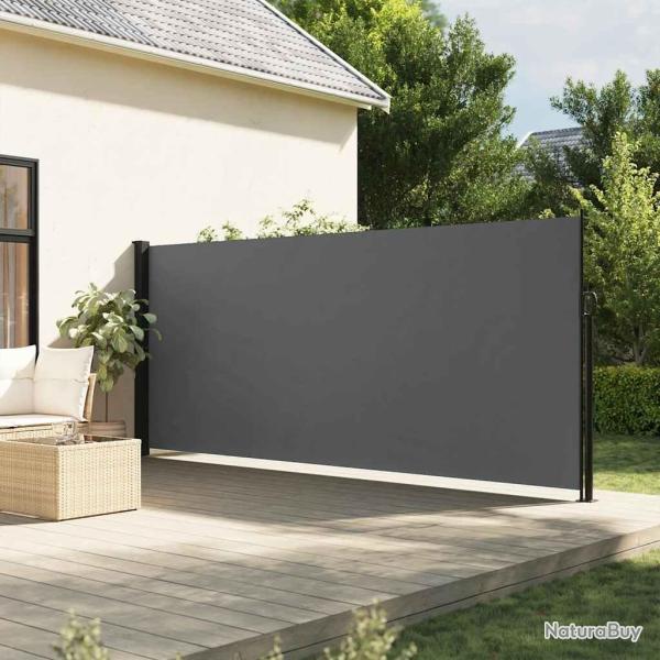 Auvent lat�ral r�tractable anthracite 160x600 cm