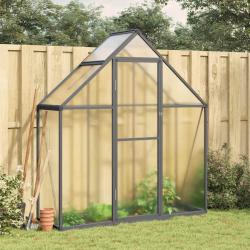 Serre avec cadre de base anthracite 169x58x195 cm aluminium