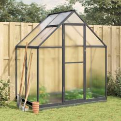 Serre avec cadre de base anthracite 169x114x202 cm aluminium
