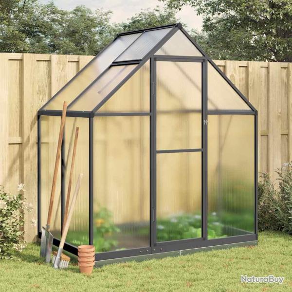 Serre avec cadre de base anthracite 169x114x202 cm aluminium