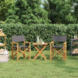 Chaises de metteur en sc&egrave;ne pliantes lot de 2 Bois teck massif