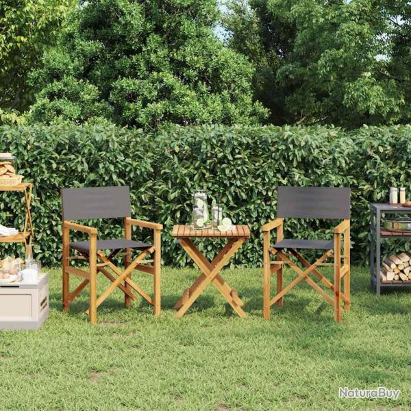 Chaises de metteur en sc�ne pliantes lot de 2 Bois teck massif
