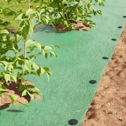 Piquets de sol 100 pcs Noir &Oslash;3 x 11 cm Plastique