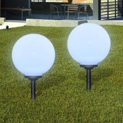 Lampes d'all&eacute;e &agrave; LED 2 pcs 30 cm avec piquet de sol