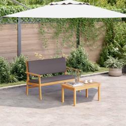 Ensemble de canap&eacute; de avec coussin 2 pcs Anthracite