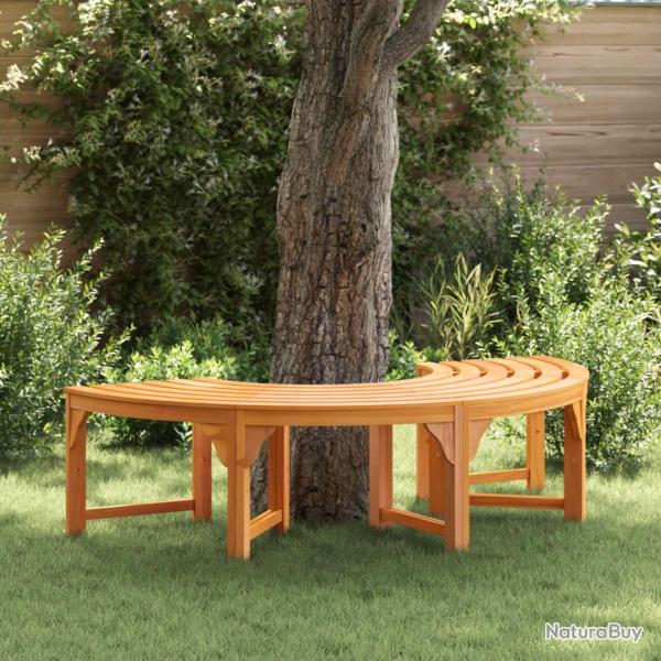 Banc d'Arbre Naturel 160 x 80 x 45 cm Bois d'eucalyptus massif