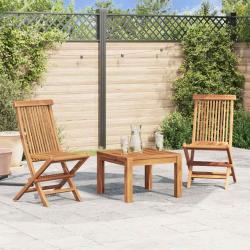 Chaises pliables de lot de 2 Bois de teck solide