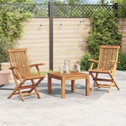 Chaises pliables de lot de 2 Bois de teck solide