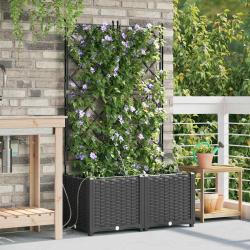 Cache-pot de 2 pc Noir 80 x 40 x 142 cm PP