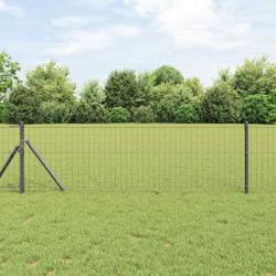 Cl&ocirc;ture Euro Gris 0.6 x 10 m Fer rev&ecirc;tu de PVC