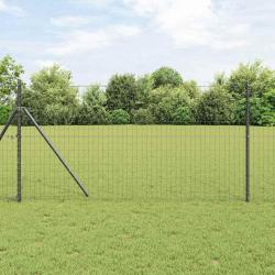 Cl&ocirc;ture Euro Gris 1,2 x 25 m Fer rev&ecirc;tu de PVC