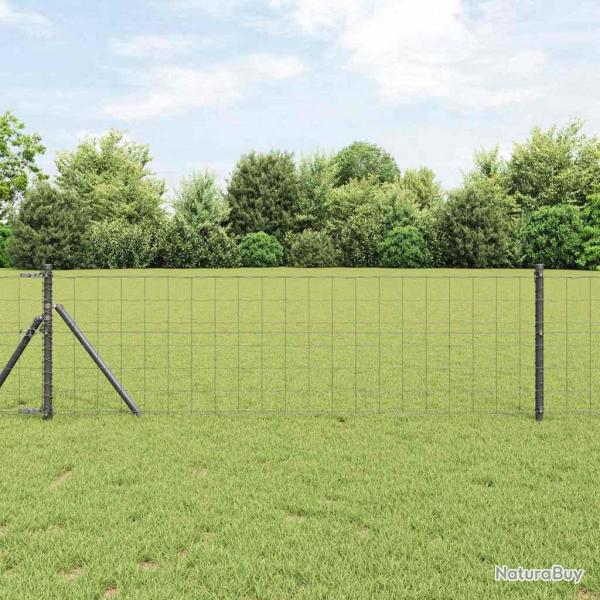 Cl�ture Euro Gris 0,6 x 25 m Fer rev�tu de PVC