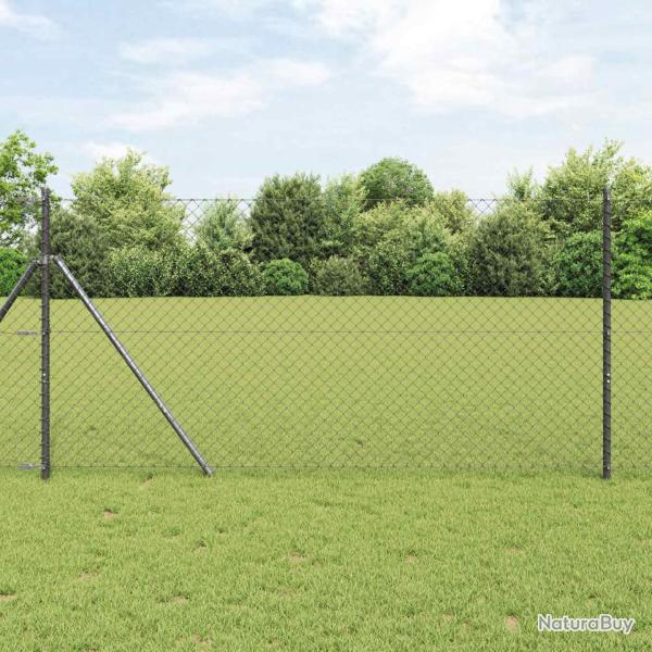 Cl�ture en treillis m�tallique 25 x 1 m Acier Gris