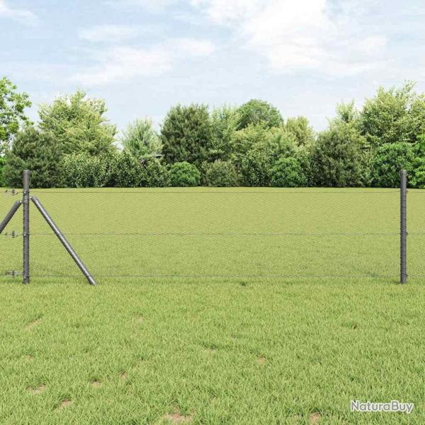 Cl�ture hexagonale Gris 0,5 x 100 m Acier