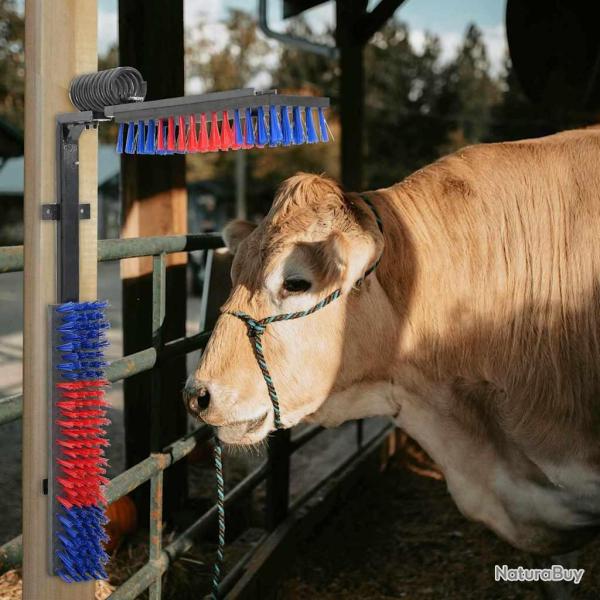 Brosses pour le b�tail Rouge et bleu 84 x 10 x 91 cm PVC