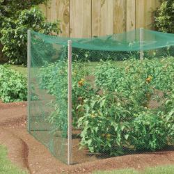 Filet de protection pour oiseaux Vert 2 x 5 m Poly&eacute;thyl&egrave;ne