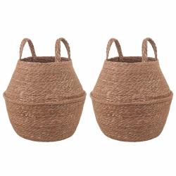Pot de plante avec poign&eacute;es 2 pcs Naturel &Oslash; 22 x 20 cm
