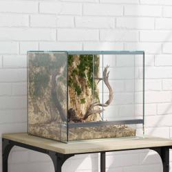 Terrarium avec stockage Transparent 30 x 30 x 30 cm Verre
