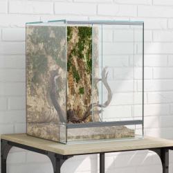 Terrarium avec stockage Transparent 30 x 30 x 40 cm Verre